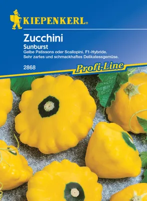Produktbild von [STREICHUNG 2024] Zucchini Sunburst F1 | Zucchinisamen von Kiepenkerl