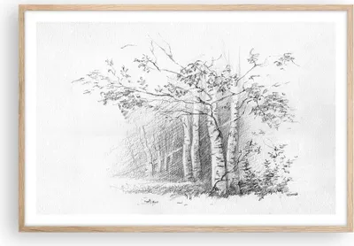 Produktbild von Gerahmtes Poster - Rahmen in heller Eiche - Skizze Wald Birke - 91,5x61 cm - Wand Bild - Wanddeko - Wandbilder - Wandposter - Bilderrahmen - Bilder - Kunstdruck - Wandbild - P2NAA91x61-4280