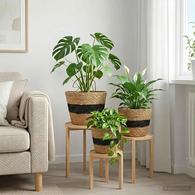 Image de Paniers à plantes en herbe de mer 3 pcs Naturel et noir