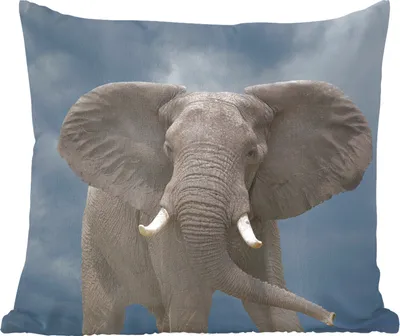 Produktbild von MuchoWow® Zierkissen Sofakissen Wohnzimmer Dekokissen 40x40 cm Elefant - Wolken - Tiere - Natur - Foto Kissen - Schlafzimmer Dekoration