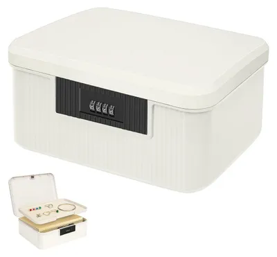 Produktbild von Medikamenten Aufbewahrung 2 Schicht Abschließbare Box Medizinbox Aufbewahrungsbox mit Zahlenschloss Klein Abschließbar Medikamentenbox (9L)