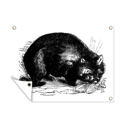 Obrázek produktu pro MuchoWow® Zahradní plakáty - Černobílá ilustrace vombata - 90x120 cm - Zahradní dekorace