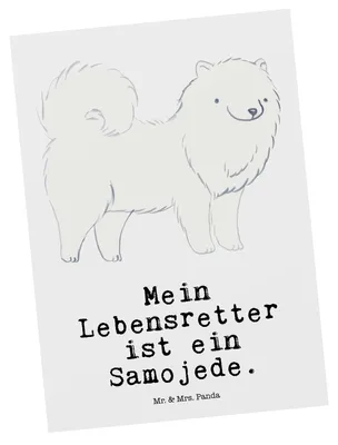 Produktbild von Mr. & Mrs. Panda Postkarte Samojede Lebensretter - Weiß - Geschenk, Grußkarte, Postkarten, Ansichtskarte, Ansichtskarten, bildkarte, Samojedenspitz, Samojedenhund