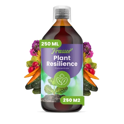 Produktbild von Plant Resilience Konzentrat 250 ml – 250 m2 – Pflanzliches Pflanzenpflege-Konzentrat Für Garten- Und Zimmerpflanzen – Frassor