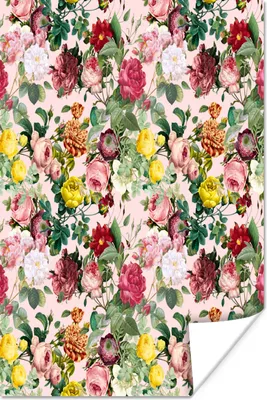 Produktbild von MuchoWow® Poster Blumen - Rosen - Rosa 80x120 cm - Papierdruck