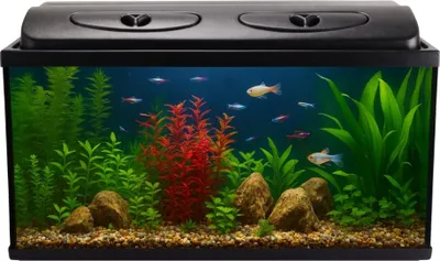 Produktbild von Aquarium Komplettset 80x35x40 112 L Starterset Aquarium Becken mit Abdeckung inkl. LED Beleuchtung Aquarium Set Komplett