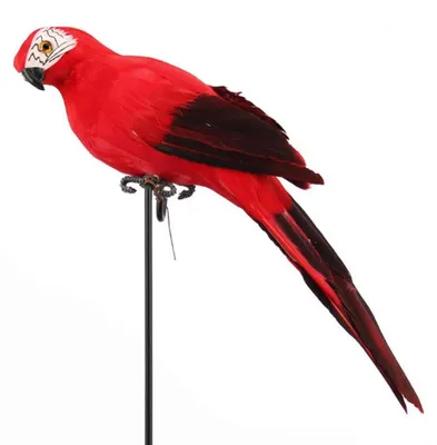 Künstlicher Papagei aus Schaumstofffedern, 35 cm, Rot