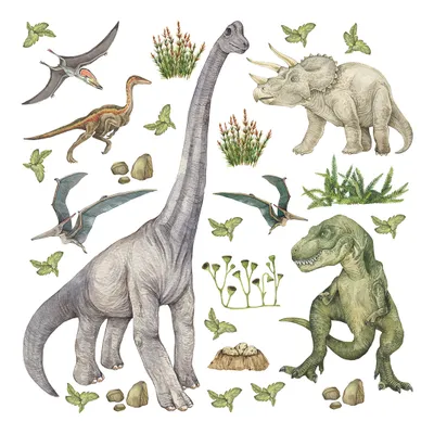 Produktbild von Sanders & Sanders Wandtattoo Dinosaurier Grün 30 x 30 cm