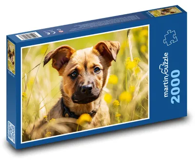 Zdjęcie produktu dla Puzzle 2000 Urocze szczeniak na łące - martinpuzzle