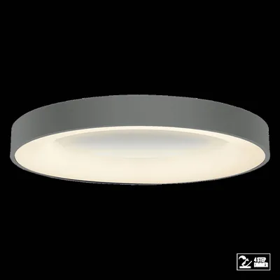 Immagine prodotto di Plafoniera LED GENTIS 80W, 4000K, grigio, Ø: 80 H: 9 cm, dimmerabile in 4 fasi
