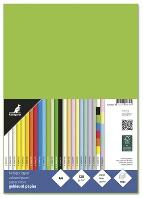 Produktbild von kangaro Multifunktionspapier DIN A4 120 g/qm hellgrün 100 Blatt
