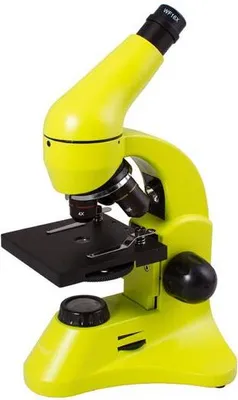 Image de Microscope Levenhuk Rainbow 50L PLUS Lime