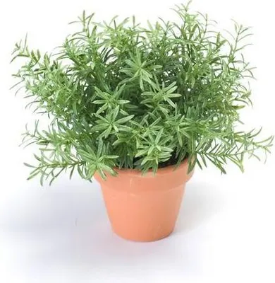 Produktbild von artplants.de Künstliche Kräuter Rosmarin Joshua im Tontopf, grün, 23cm, Ø 17cm - Deko Rosmarin