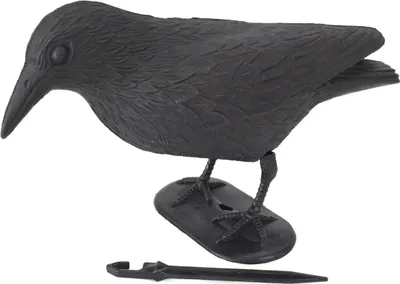 Produktbild von Vogelschreck schwarz 36cm Rabe mit Erdspieß & Standfuß Vogelscheuche Tierabwehr