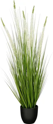 Zdjęcie produktu dla Mica Decorations Eremurus – sztuczna trawa – realistyczna sztuczna roślina dekoracyjna do salonu – sztuczne rośliny – sztuczne rośliny doniczkowe – H110 x Ø35 cm – zielona, biała