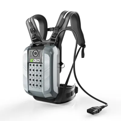 Immagine prodotto di Batteria ricaricabile portatile EGO Power BAX1500