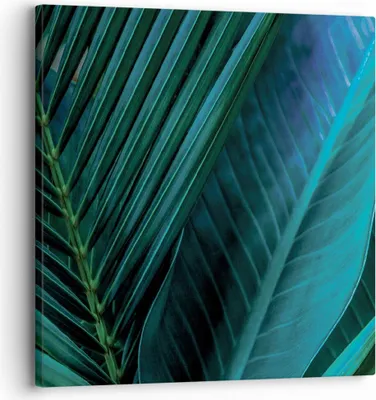 Produktbild von Bild auf Leinwand - Leinwandbild - Einteilig - Blatt Tropen Grün - 30x30cm - Wand Bild - Wanddeko - Wandbilder - Leinwanddruck - Bilder - Wanddekoration - Leinwand bilder - Wandbild - AC30x30-5071