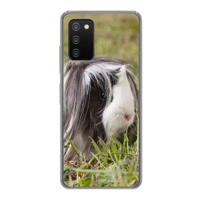 Produktbild von MuchoWow® Handyhülle Schutzhülle Hülle für Samsung Galaxy A03s Langhaar-Meerschweinchen Silikon Softcase Handy Hülle - Schutz