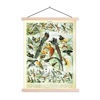 Produktbild von MuchoWow® Textilposter Vögel - Tier - Natur 40x53 cm mit holzfarbenen Rahmen - Schlafzimmer