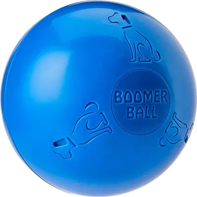 Produktbild von Hundespielzeug Company of Animals Boomer Blau 150mm