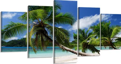Produktbild von 200 x 100 cm Bild auf Leinwand Palme Strand 6325-VKF deutsche Marke und Lager - fertig gerahmt , exklusive Markenware von Visario