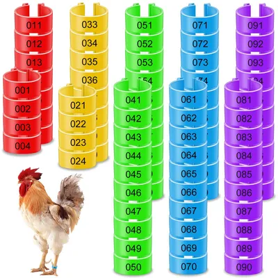 Geflügel-Fußringe, 100 Stück, 5 Farben, 16 mm, Kunststoff