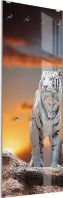 Produktbild von DEQORI Kleiderhaken aus Glas 50x125 cm 'Weiße Tiger im Abendlicht' Wand Garderobe Haken