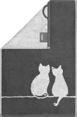 Produktbild von Cawö Frottier Serie Cute Cats 77 basalt/platin – Katzenmotiv , Größe:Gästetuch 30 x 50 cm