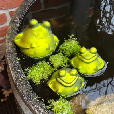 Produktbild von Schwimmfrosch groß mit 2 Kindern für den Miniteich
