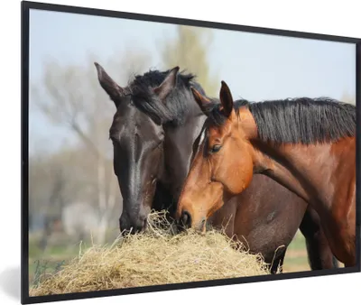 Produktbild von MuchoWow® MuchoWow® Gerahmtes Poster Pferde - Heu - Tiere 90x60 cm - Poster mit zchwarzem Bilderrahmen - Fotorahmen - Foto-Plakat
