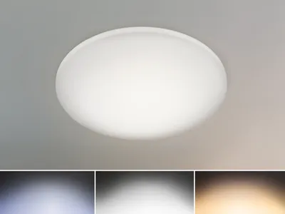 Produktbild von Flache LED Deckenleuchte dimmbar mit Fernbedienung, Badezimmerlampe IP44 Ø 40cm