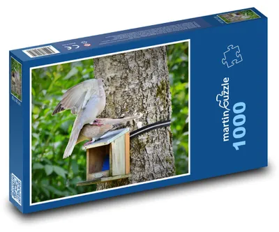 Zdjęcie produktu dla Puzzle 1000 Gołąb na budce dla ptaków - martinpuzzle