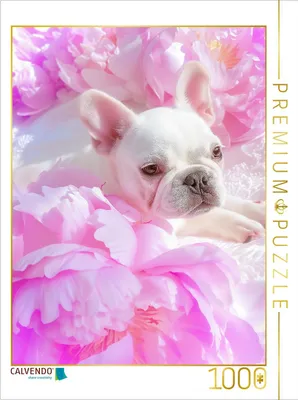 Produktbild von CALVENDO Puzzle Ein Motiv aus dem Kalender Bulldoggen | 1000 Teile Lege-Größe 64x48cm Foto-Puzzle für glückliche Stunden