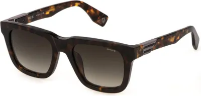 Produktbild von Police SPLN43 Dark havana 52/20/145 Herren Sonnenbrillen