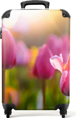 Produktbild von NoBoringSuitcases.com® Koffer Handgepäck Trolley Rollkoffer Kleine Reisekoffer mit 4 Rollen - Tulpen - Rosa - Blumen - Frühling - Natur - Cabin Size < 55x40x23 cm & 55x40x20 cm - Fotokoffer - Kabinenkoffer - BoardgepäckHandgepäck Koffer 55x35x20 cm, 36L,