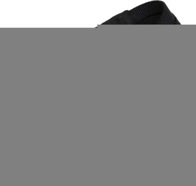 Image de Laisse pour chien Red Dingo Noir (1,5 x 120 cm)