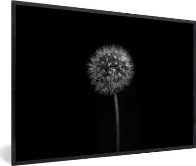 Produktbild von MuchoWow® Gerahmtes Poster Löwenzahn - Schwarz - Floral - Botanisch 90x60 cm - Poster mit Schwarzem Bilderrahmen Wandposter Rahmen Foto Bilder - Fotorahmen - Foto-Plakat