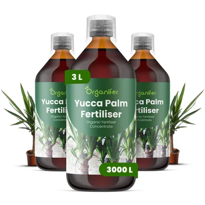 Produktbild von Flüssigdünger Für Yucca-Palmen 3x1L – 2-1-8 NPK – Flüssig-Pflanzendünger Für Yucca-Palmen – Organifer