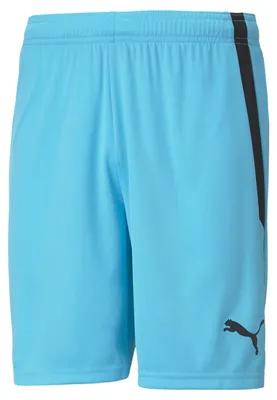 Productafbeelding van Puma Teamliga shorts voor heren - Atoll