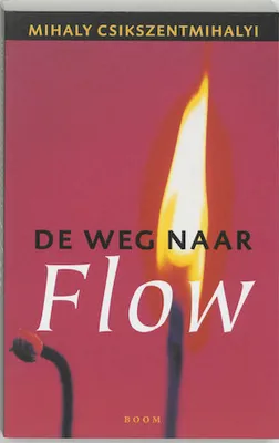 Zdjęcie produktu dla Droga do Flow