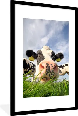 Produktbild von MuchoWow® Gerahmtes Poster Kuh - Bauernhof - Gras - Tiere 60x90 cm - Poster mit Schwarzem Bilderrahmen Wandposter Rahmen Foto Bilder - Dekoration - Wandposter Wohnzimmer - Hochwertig