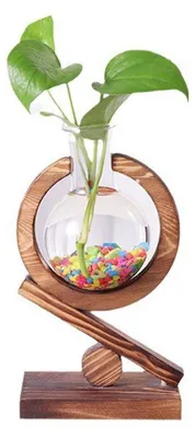 Glazen Reageerbuisvaas mit Holzständer, Hydrokultur, 20 cm