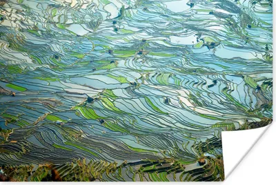 Produktbild von MuchoWow® Poster Schöne bunte Reisfelder unter Wasser in China 90x60 cm - Schlafzimmer