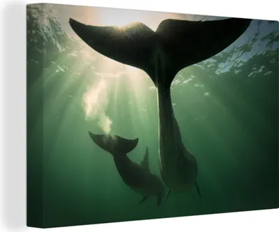 Produktbild von OneMillionCanvasses® - Leinwandbilder - 140x90 cm, Delfin - Wasser - Blau, Wandbilder Kunstdruck Wanddekoration