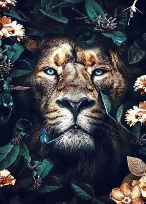Obrázok produktu pre Norimpex Diamond Gemä lde Hidden Lion 30x40cm