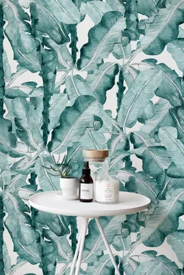 Produktbild von Coloray Fototapete 250x104 cm An Einer Wand Latex Latextapete - Minze Banane verlässt botanische Blumen