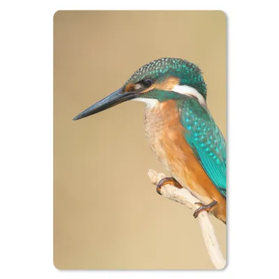 Produktbild von MuchoWow® Mauspad Mousepad Eisvogel - Tiere - Vogel 18x27 cm - Mousepads - Maus Mat - Pad - Mausunterlage