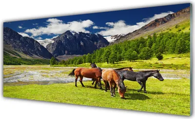 Produktbild von Acrylglasbilder 125x50 Wandbild Druck Gebirge Bäume Pferde Tiere