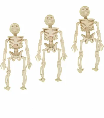 Productafbeelding van Halloween decoratie: 3 skeletfiguren, beige, 12 cm - universele maat
