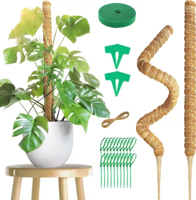 Image de Support pour plantes grimpantes en fibres de coco, 100 cm, lot de 2, avec accessoires